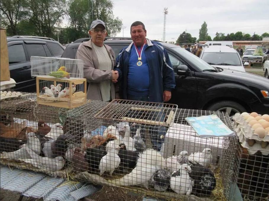 Где Купить Птицу В Москве