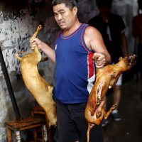 В китайском городе Шэньчжэнь власти запретили есть мясо собак и кошек. Об этом сообщает BBC News.