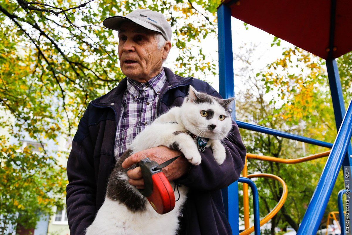 Самый умный кот. Умный кот Лева Калининград. Кот пенсионер. Умный кот. Коты пенсионеры.