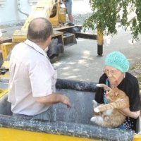 Житель Екатеринбурга организовал целую операцию по спасению кота — видео