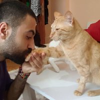 Турецкий музыкант Сарпер Дурман и его кошки