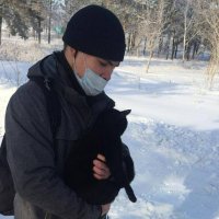 Замерзающих кошек в Павлодарской области спасают осуждённые-волонтёры