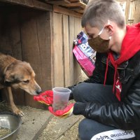 Новосибирские школьники помогают приютам для бездомных животных