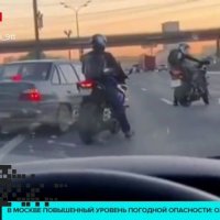 В Москве мотоциклисты перекрыли МКАД, чтобы пропустить утиную семью