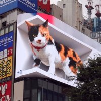 Будущее уже здесь. Гигантский «живой» 3D-кот поселился в здании в Токио.
