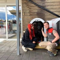 В шведских супермаркетах установили собачьи домики с климат-контролем