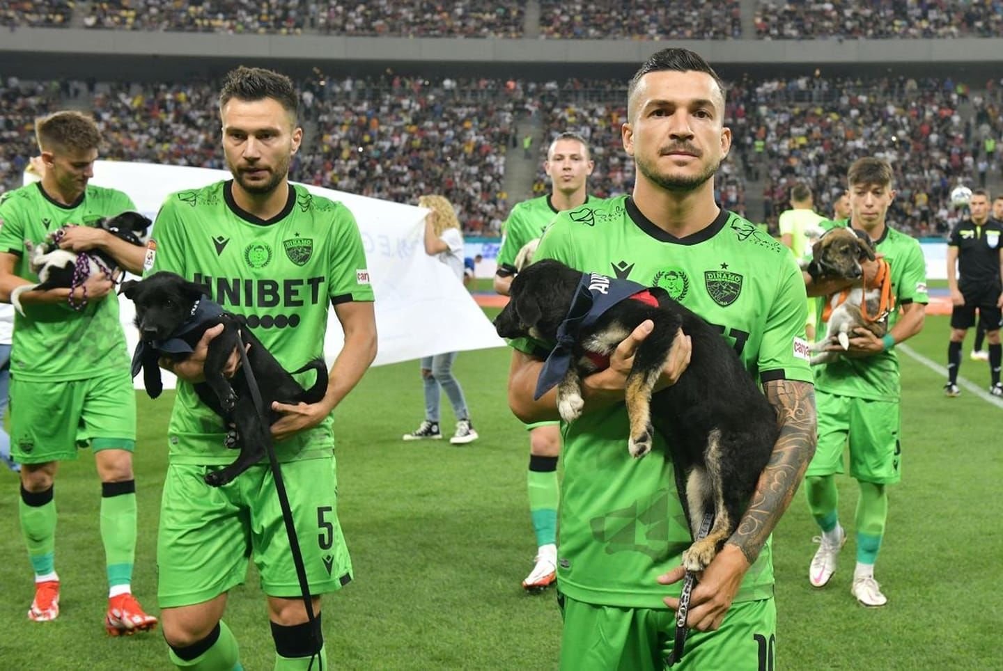 Футболисты Динамо с собаками