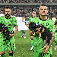 В чемпионате Румынии футболисты вышли на поле с собаками на руках