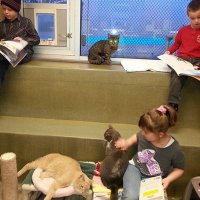 Школьники читают кошкам из приюта в Пенсильвании
