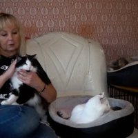 Бывшая актриса нижегородского театра создала приют для животных-инвалидов