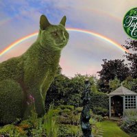 75-летний художник посвящает своему умершему коту виртуальные садовые скульптуры