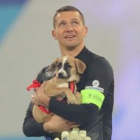 Футболисты «Зенита» вышли на игру с «Ростовом» со щенками
