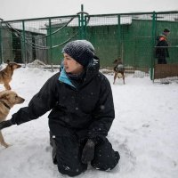 Кожуховский муниципальный приют для бездомных животных выселяют Кожуховский муниципальный приют для бездомных животных выселяют