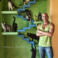 Котопия: мужчина построил кошкам собственный дом. Пушистые от него без ума
