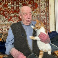 Под Калининградом энергетики спасли кота, сбежавшего от пенсионера на семиметровый тополь
