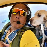 Пилот посвятил жизнь помощи животным: он привозит их к новым хозяевам