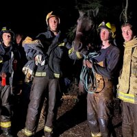 «Чтобы не захлебнулась, четыре часа держали голову над водой»: Увязшую в болоте лошадь спасли пожарные в Ленобласти