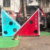 В Москве снесли котодомики из-за жалоб на блох