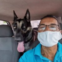 Лучшая работа в мире: бразилец создал сервис для перевозки животных и их людей