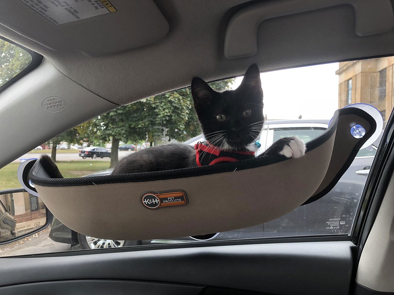 Гамак в машину для коты