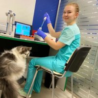Российские ветеринары сообщили правительству о нехватке вакцин и наркоза