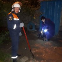 В Ростовской области спасатели провели целую операцию по вызволению собаки, застрявшей под аварийной постройкой