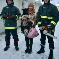 В Ульяновске 18 человек спасали новорожденных щенков Клаву и Коку, застрявших под рыночным контейнером в лютый мороз
