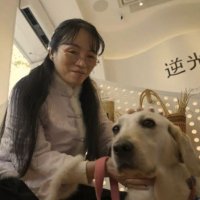 Собака-поводырь работает продавцом в шанхайском книжном магазине для слабовидящих
