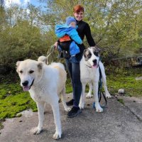 Мама в декрете оформила ипотеку, чтобы открыть приют для бездомных собак в Ростовской области