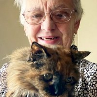 Самая старая кошка в мире обнаружена в Великобритании