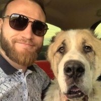 Ошейник с шипами врос в кожу: волонтеры спасли алабая, умиравшего без еды и воды