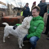 Депутат Бурматов пояснил, как новый законопроект решит проблему с бездомными собаками