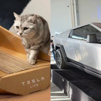 Tesla представила когтеточку в форме Cybertruck