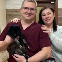 Третий случай в мире: в Новосибирске ветеринары поставили коту четыре протеза вместо лап
