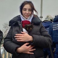 Для спасения провалившегося под виадук котенка в Воронеже привлекли альпиниста