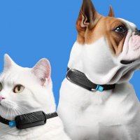 Создан умный GPS-трекер с ИИ и функциями мониторинга здоровья кошек и собак