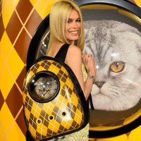 Ветеринары осудили Клаудию Шиффер за кота в рюкзаке на кинопремьере