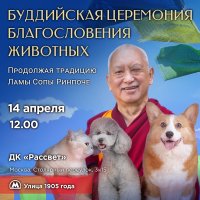 В Москве состоится церемония благословения животных