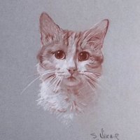 Никас Сафронов нарисовал портрет кота Твикса, чтобы помочь бездомным животным