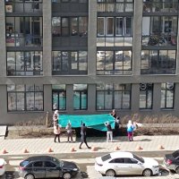 «Казалось, что он вот-вот сорвется»: в Екатеринбурге спасли кота, который застрял на 21 этаже.