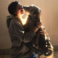 Внезапная любовь, или Как животные из приюта находят новых хозяев
