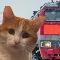 РЖД ввели в программу обучения проводников работу с животными