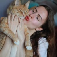Ваш кот умеет говорить? Ветеринар объяснил, может ли питомец общаться с помощью игрушек