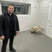 Вмерз в лед и погибал на холоде: В Ростовской области спасли пеликана с поврежденным крылом и нашли ему новый дом