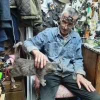 Воркутинец оборудовал свой гараж для 40 бездомных кошек, но животные могут лишиться крова