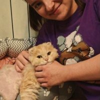 Кот Мурзилка пережил сорокаградусные морозы и стал звездой соцсетей