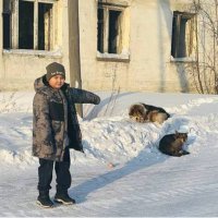 «Животные — не игрушки»: школьник из Верхнеколымского района поднял проблему бездомных собак