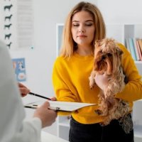 В Италии по болезни питомца теперь можно получить оплачиваемый отпуск