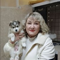 Щенок Дана из Улан-Удэ пережила опасную болезнь и обрела новых хозяев
